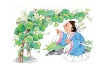 我要的是葫芦续写