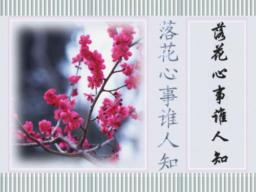 数学奥林匹克运动会，我的幸福之源