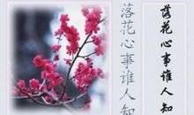 奥数，我的快乐之源