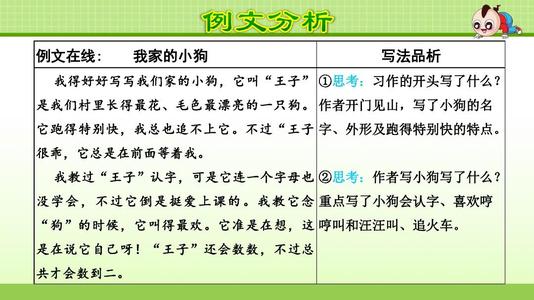 我眼中的五彩世界300字