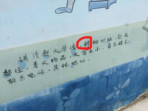 我是“小啄木鸟”