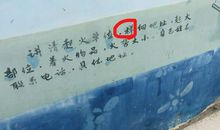 我是“小小啄木鸟”