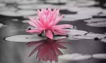 把握现在，让人生多彩