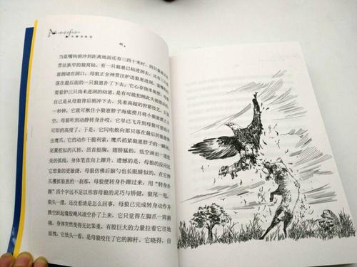 关于阅读《天鹅历险记》的思考