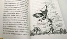 读《天鹅历险记》有感