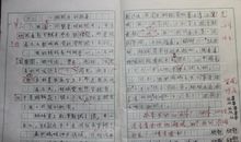 鸡蛋壳的故事作文二年级