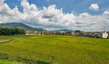 家乡的田园风光