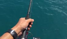 我的第一次海钓