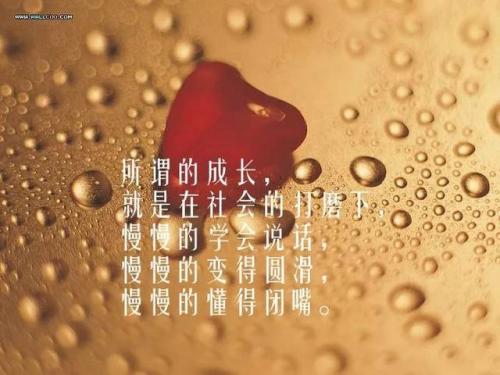 值得理解的真理