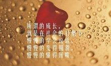 值得感悟的道理