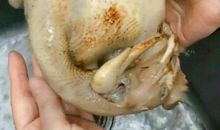 我教姥姥用智能手机