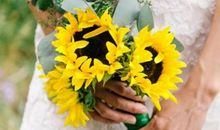 温暖不变的右手