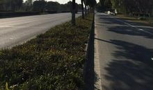 谢谢你温暖了我的2019