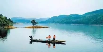 展望历史平台，展望中国未来