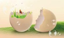 蛋壳的故事看图写话