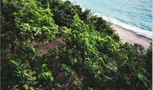 《骑着自行车环台湾岛》读后感