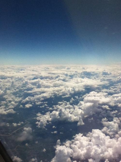 在爱的天空中旅行