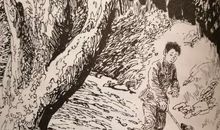 超越物种的情感——读《导盲犬迪克》有感