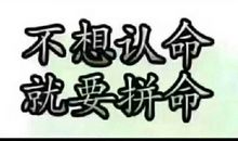 忘不了的一句话