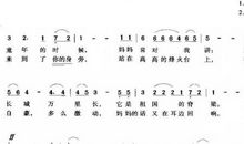 心还在，星永在