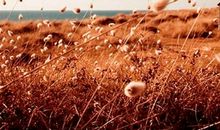 让等待不再是等待