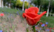 那一次我很开心