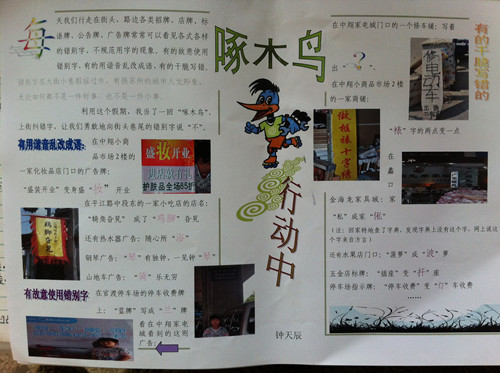 有趣的“啄木鸟行动”