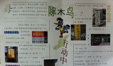 有趣的“啄木鸟行动”