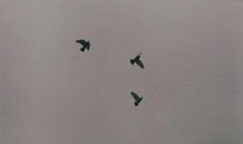 渐渐地，我理解了