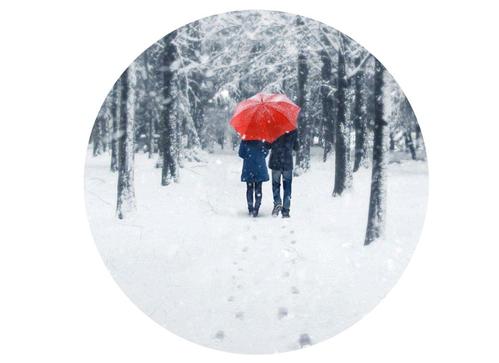 结识雪