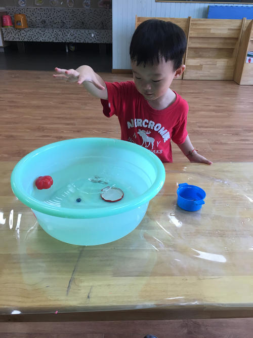 我的小实验