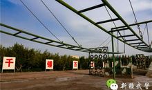 我爱夏天的N个理由