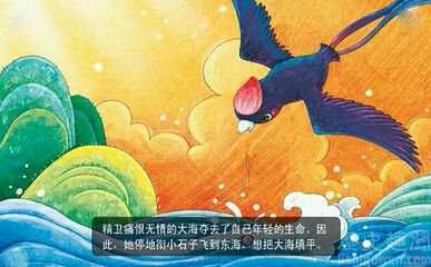 我和经纬花了一天