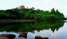 美丽的旗峰公园