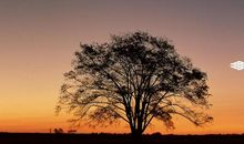 旅行也是一种乐趣