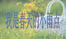 春天的小雨点