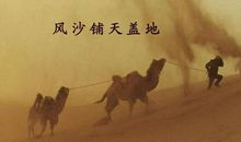 我真的感到自豪