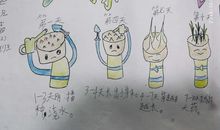 种大蒜观察日记四年级