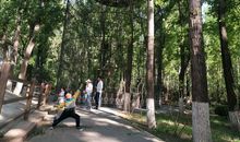 难忘的游园之旅