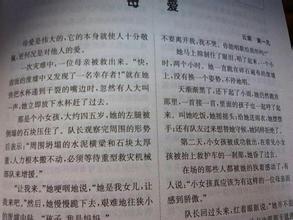 沉迷于爱情作文