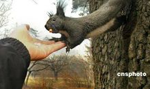 生趣盎然的夏夜