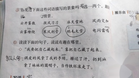 小老鼠玩电脑，看图片和构图