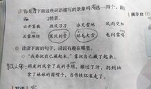 小老鼠玩电脑看图作文