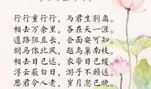 难忘那一句诗词