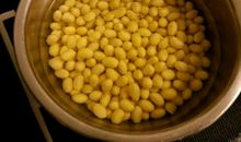 泡黄豆