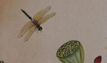 苍蝇和蚊子的争辩