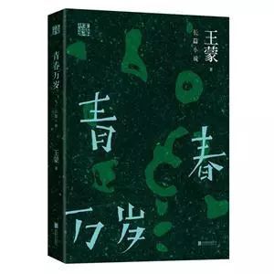 另一种青年道路构成