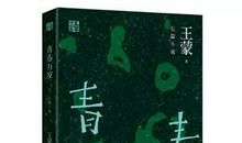 别样的青春路作文