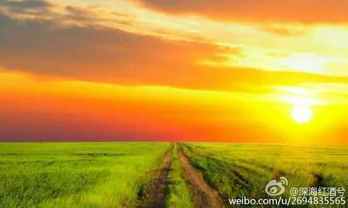 我爱家乡的风和小麦