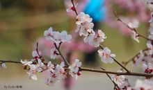 发现春天的脚步